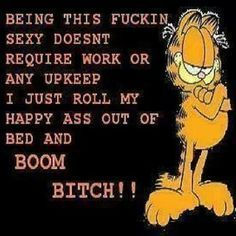 a meme of garfield reading 'Being this fuckin sexy doesn't require work or any upkeep, I just roll my happy ass out of bed and BOOM BITCH.'